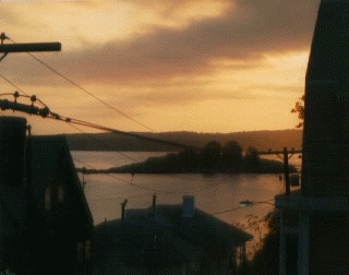 The Island
